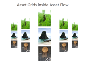Asset_Grids_inside_Asset_Flow-small.png