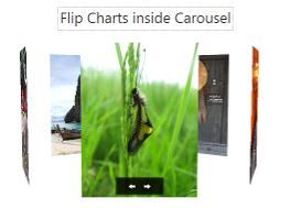 Flip_Charts_inside_Carousel-small.png