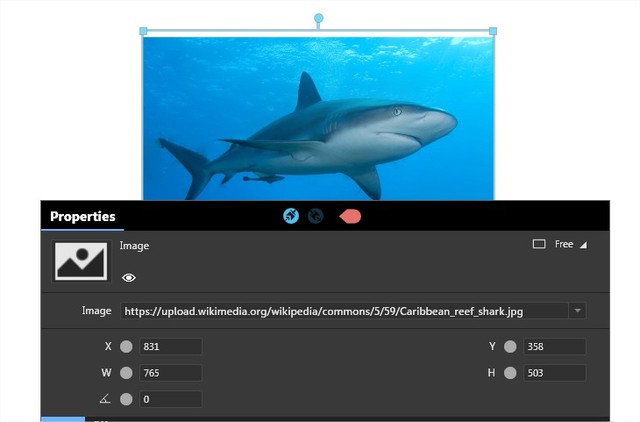 Image-online.jpg