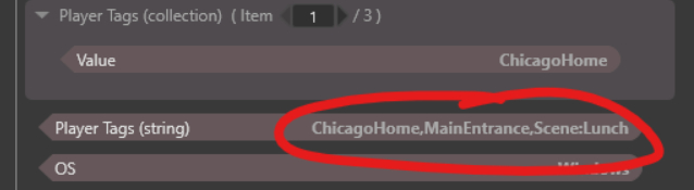 PlayerTagsExample.jpg