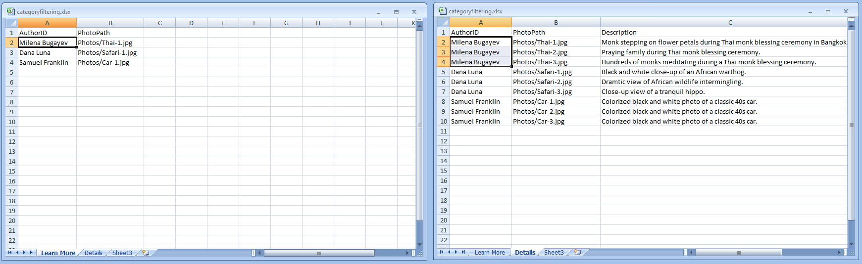 tntexcelcategories.png