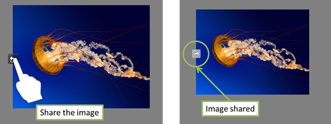 SharingButtonBeforeAfter_normal.png